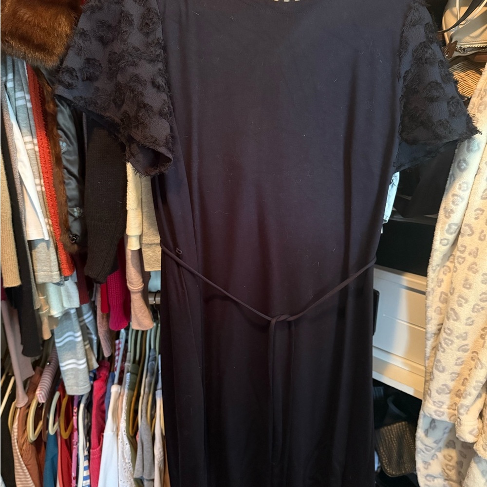 LOFT Navy Sheath Dress with Flutter Sleeves